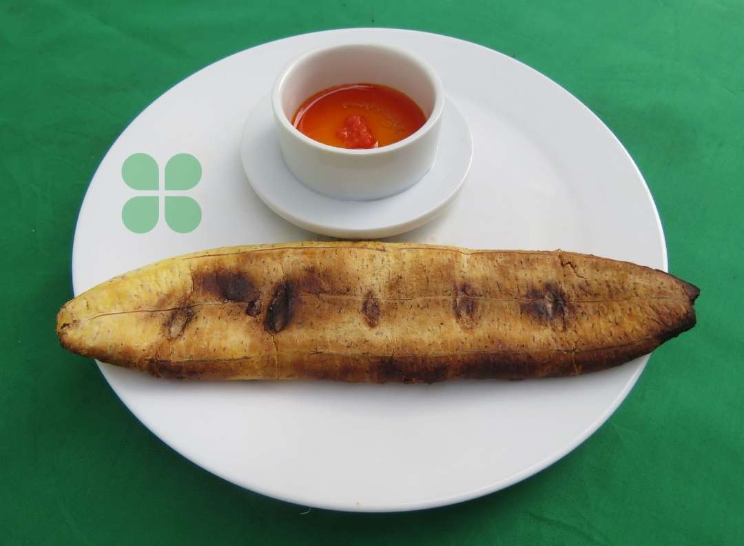 ART CULINAIRE