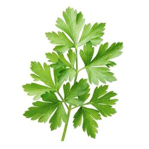 Chou-fleur vapeur